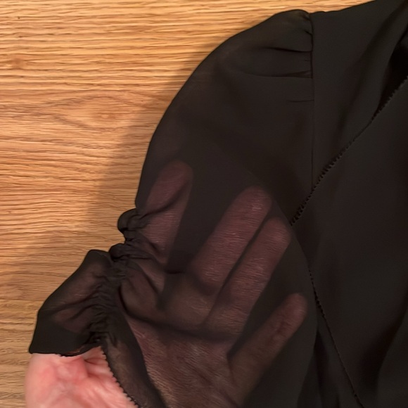 Babaton “Jax” black sheer blouse size small - Picture 5 of 6